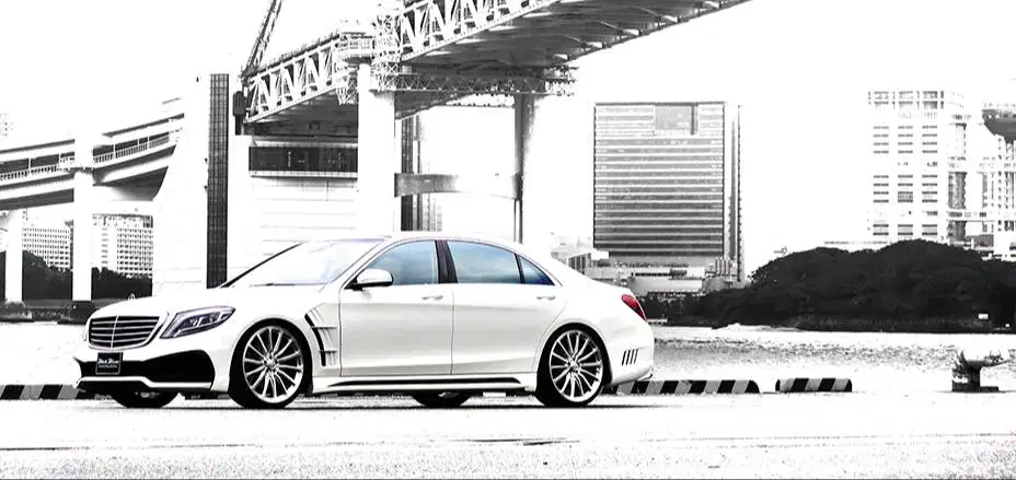 Bodykit Mercedes Benz (W221/W222/S65) Wald Black Bison Series