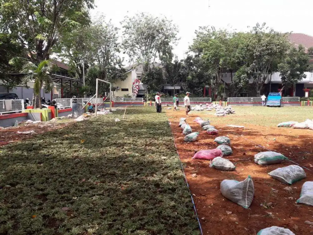Tukang Rumput hias makassar