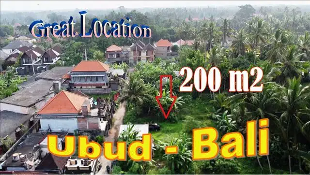 Beautiful Green Lush View cozy Suroundings in Ubud Pejeng