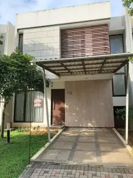 Rumah Furnished disewakan dekat sekolah universitas di bsd Tangerang