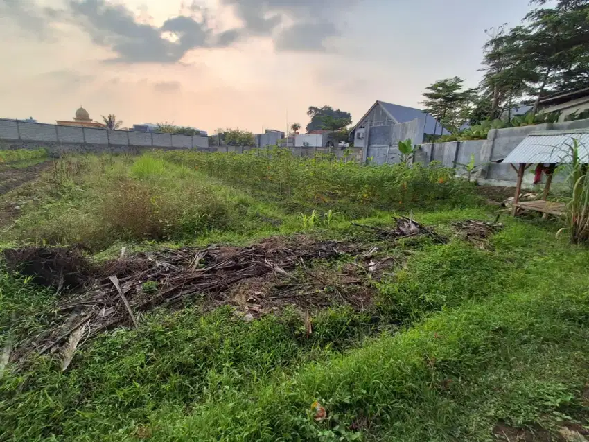 Tanah  belakang cafe Rumah Hijau Cipocok