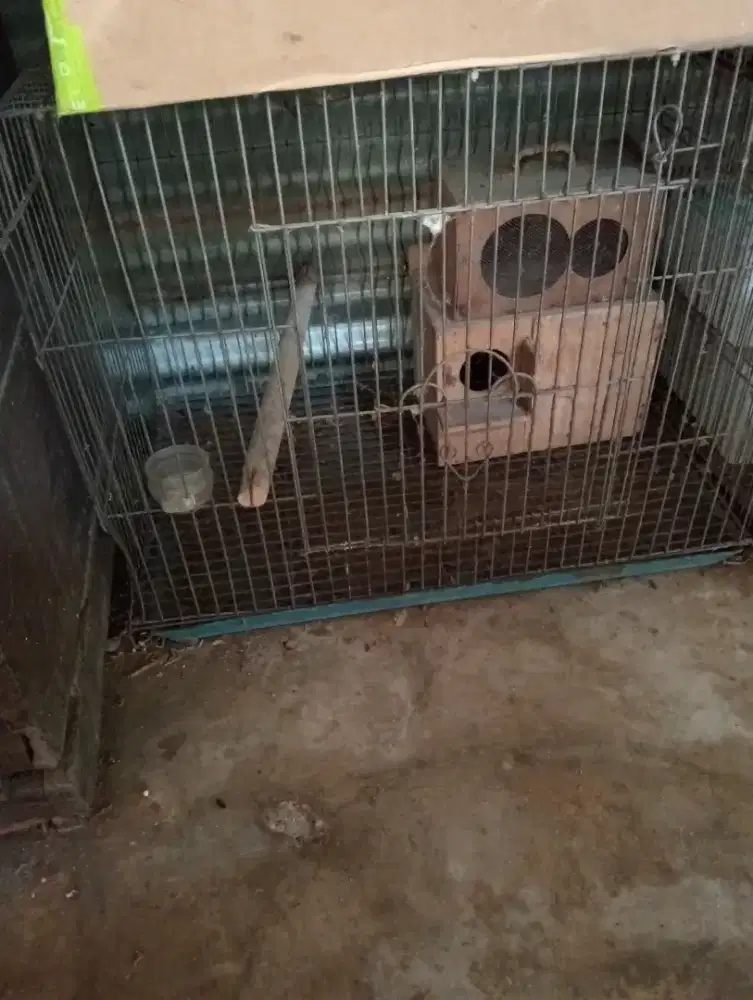 Di jual kandang burung