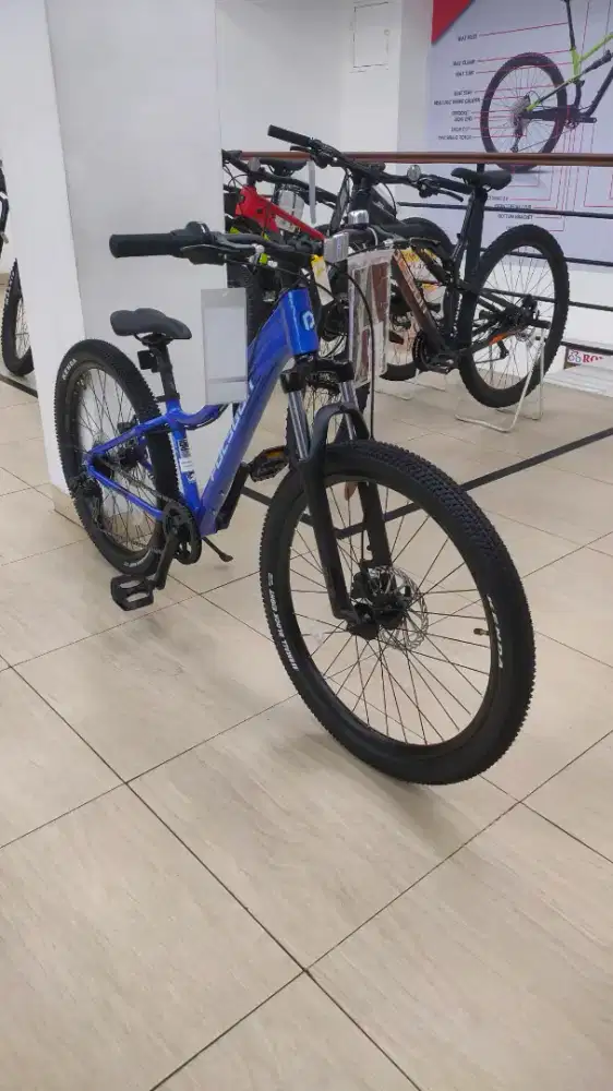 Sepeda Polygon Relic 24 Blue