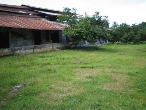 Dijual/Disewakan Tanah SHM 1 Hektar Bangsri Jepara, Ada Pagar Keliling