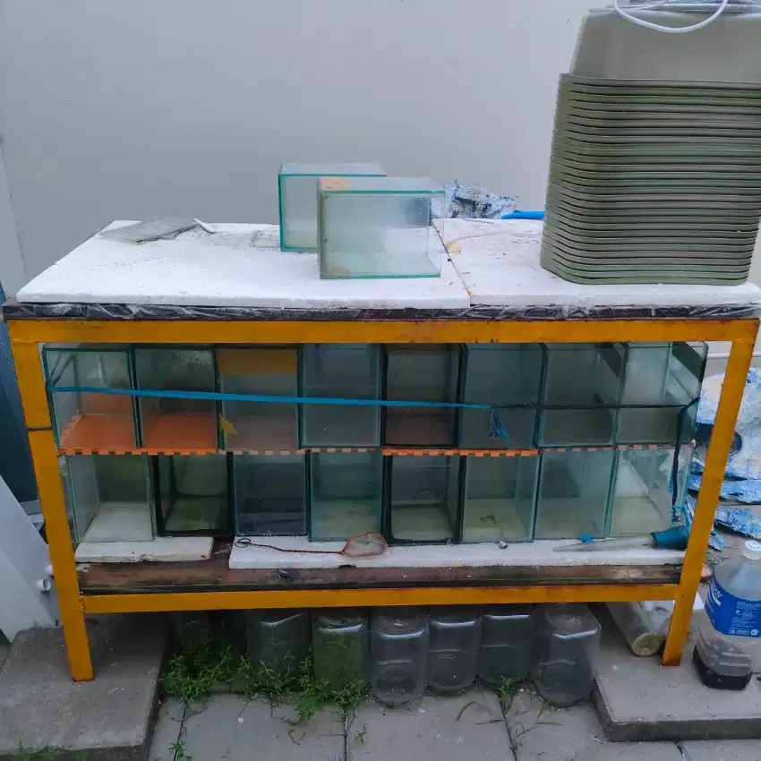 Soliter cupang+Rak besi PxLxT 130x60x70