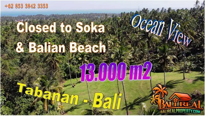 10,000 m2 Land with Great Ocean View in Selemadeg Barat