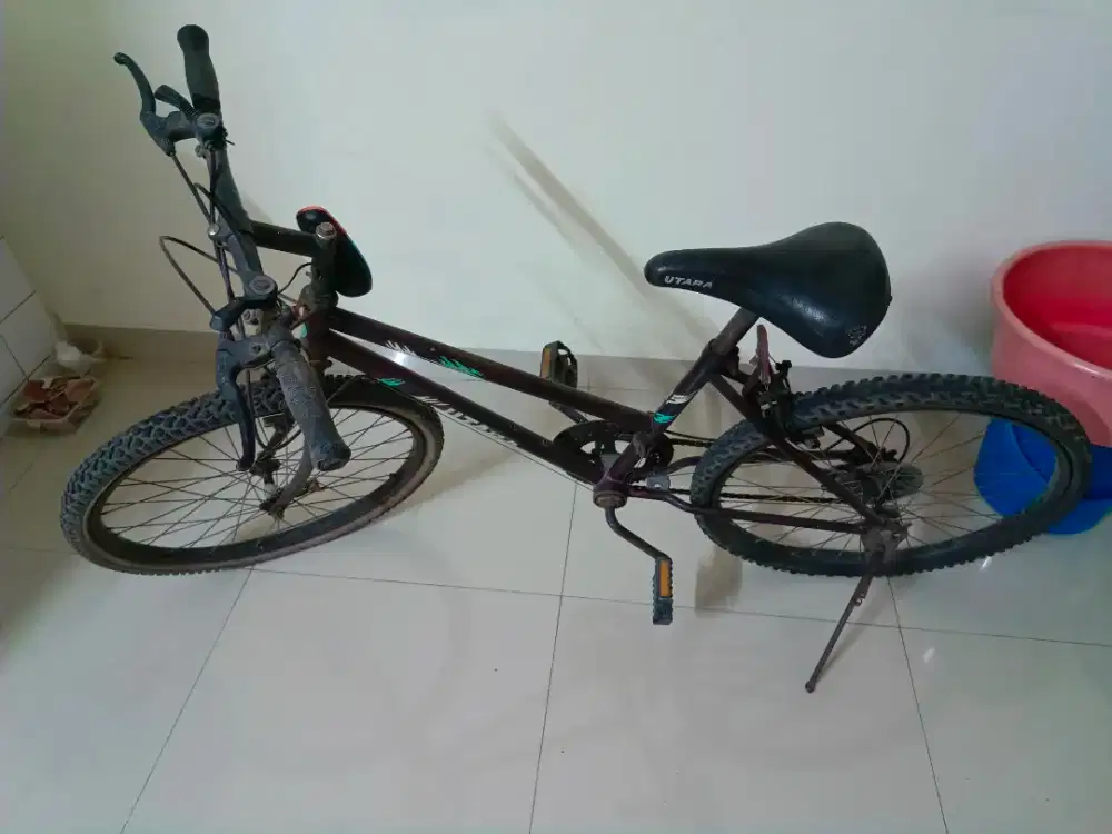 Sepeda gigi wanita dewasa