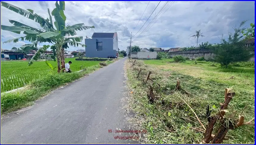 4 jutaan dekat Exit toll Mlati ,SHM P tepi aspal view sawah