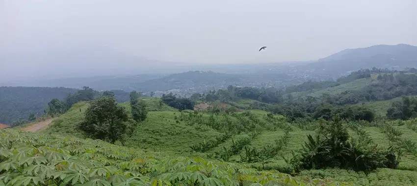 di jual tanah kebun view gunung cakep di Cibadak Sukabumi