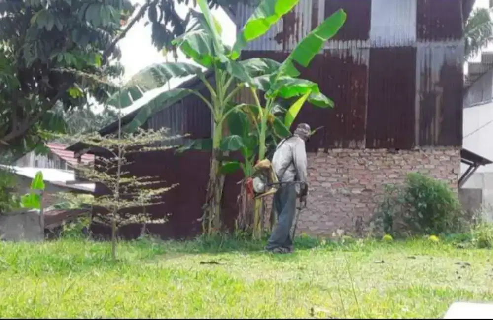 Mesin potong rumput Pekanbaru panam