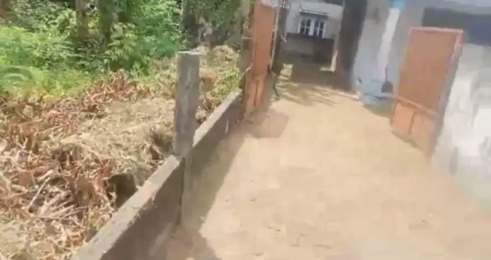 Halaman/taman potong rumput Pekanbaru panam ok