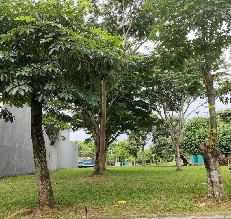 Kavling dijual di cluster Inika Island BSD Tangerang