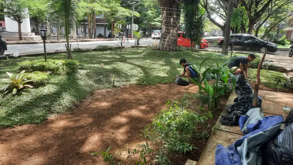 Tukang Taman area bone