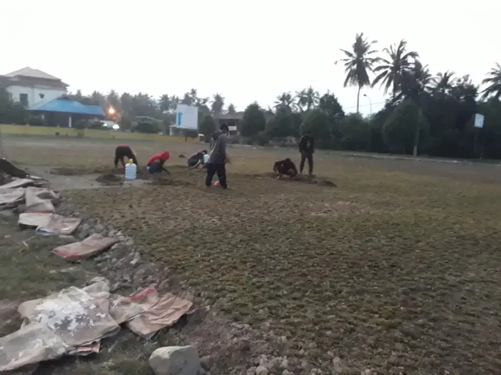 Tukang Taman dan Rumput hias