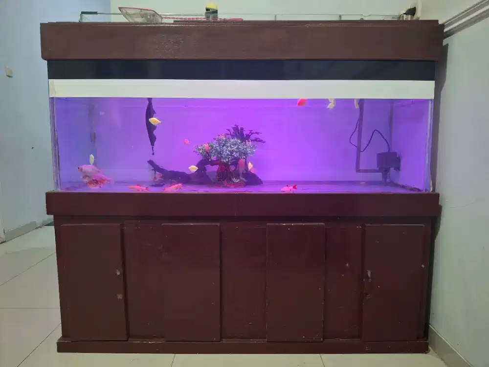 Aquarium Buffet panjang dan kaca tebal