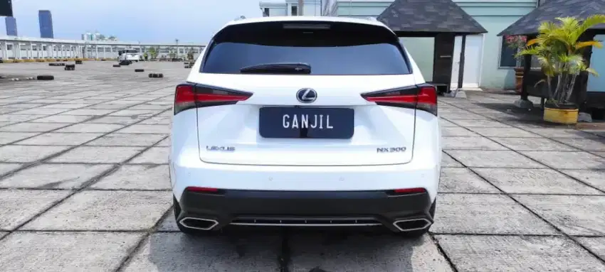 Lezus Nx300 F Sport at 2019 Putih Km 30rban Tdp  50Jt Sj