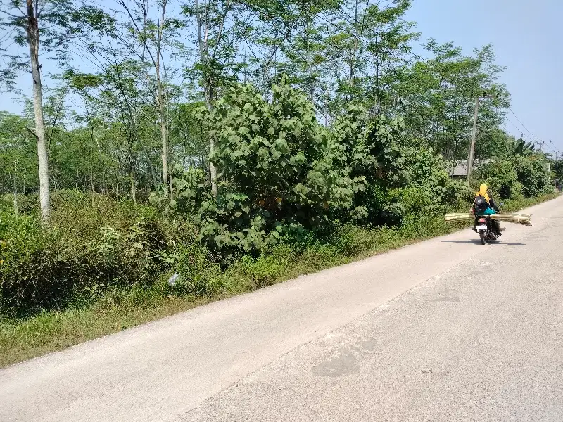 Di Jual Tanah di Sindang Mulya Kec Maja Lebak