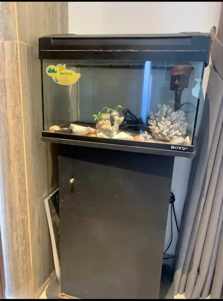 Aquarium estetik untuk rumah & kantor anda boyu azko 45ltr