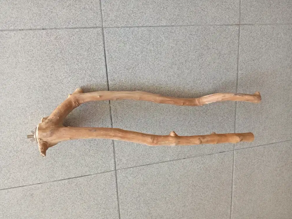 Jual Tangkringan besar untuk burung Parrot