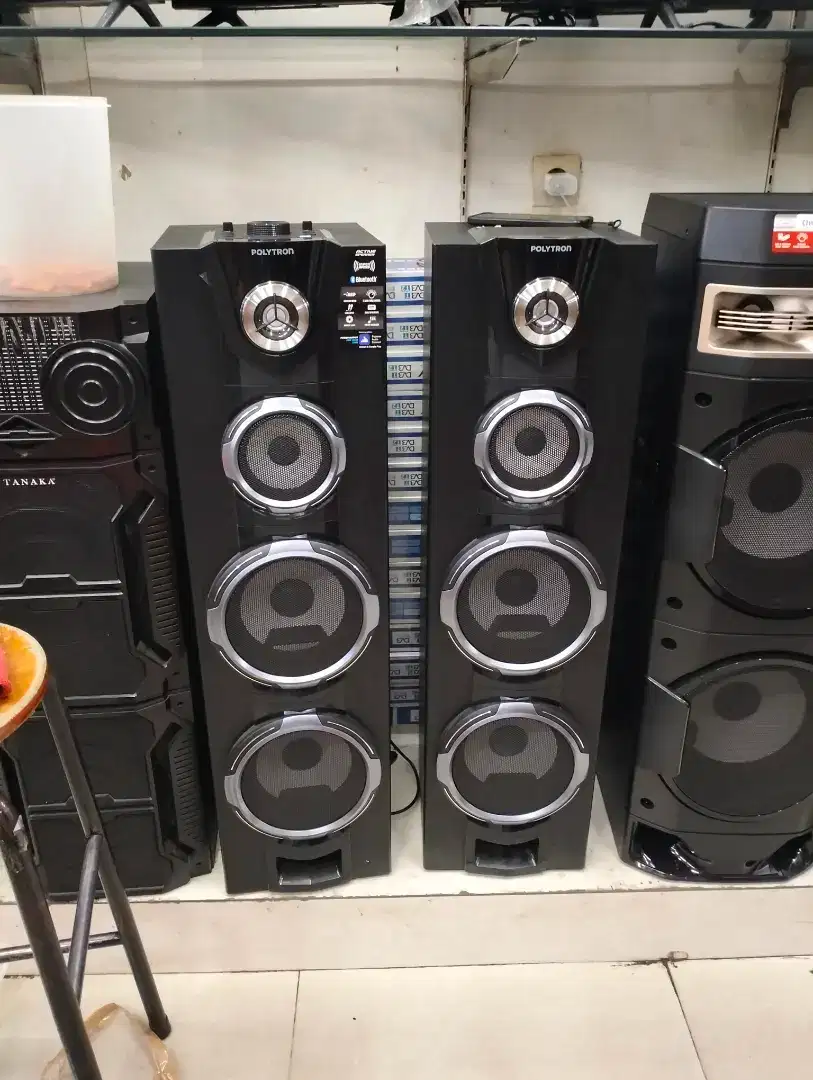 speaker Polytron