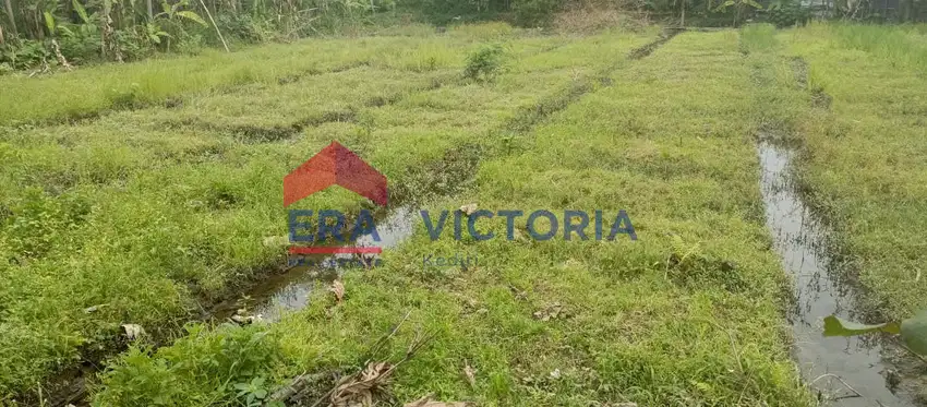 Dijual Tanah di Ds Sambirejo Kediri 6 menit ke RS Aura Syifa