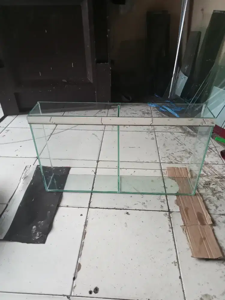 Etalase jeruk lemon peras