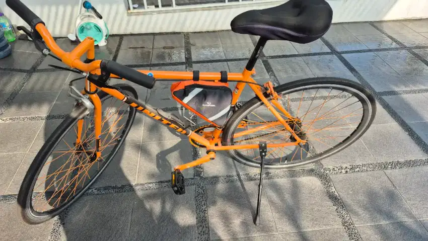 Sepeda United limited edition bisa fixie bisa freewheel