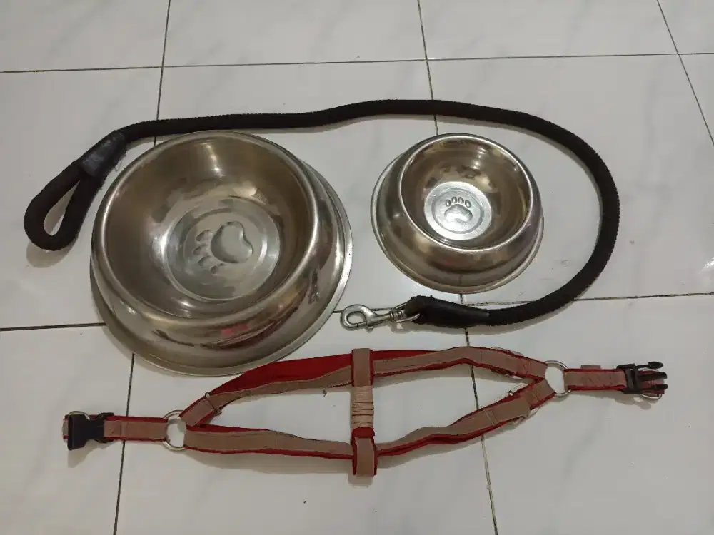 1set pet asesoris stainless Steel