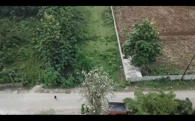 Dijual Tanah Pinggir Jalan di Dangdang, Cisauk - Tangerang