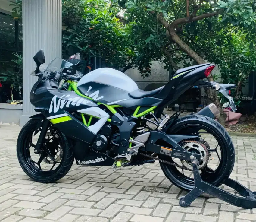 Kawasaki ninja 250 sl mono