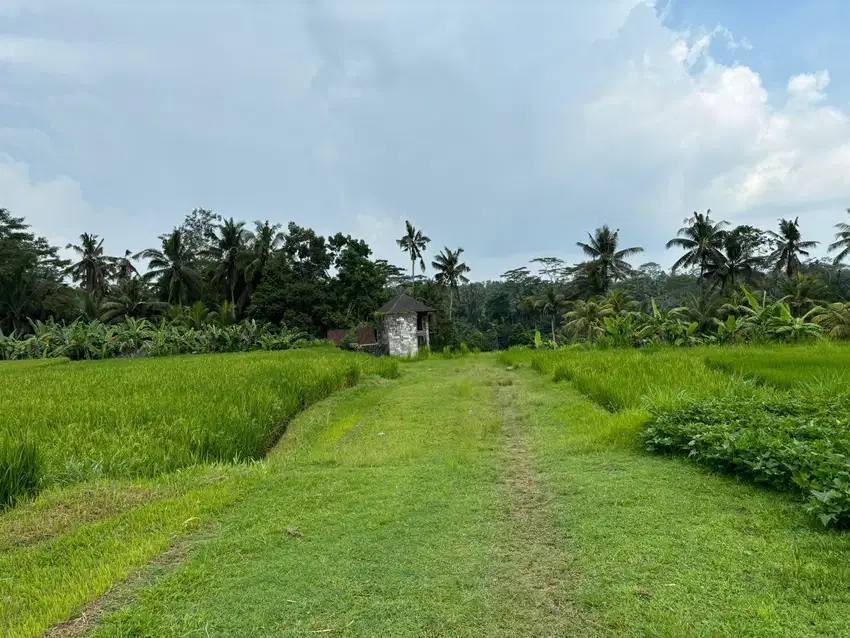 Dijual tanah pejeng ubud