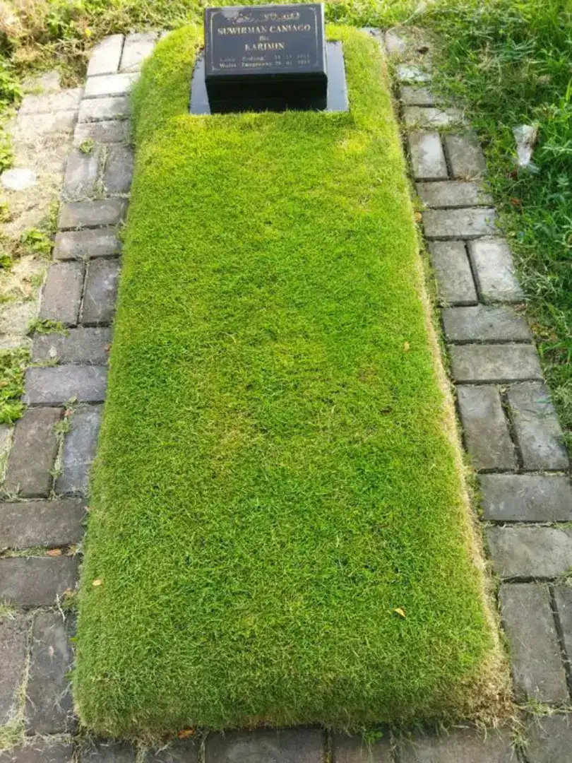 Jasa masang rumput jepang di makam