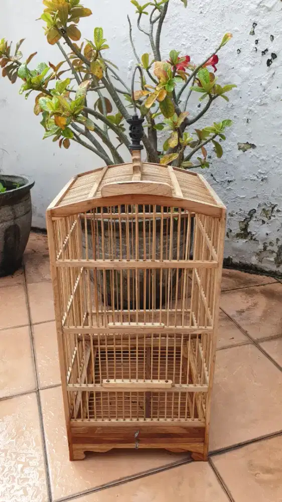 SANGKAR KANDANG BURUNG PERKUTUT LOVE BIRD KENARI MULUS