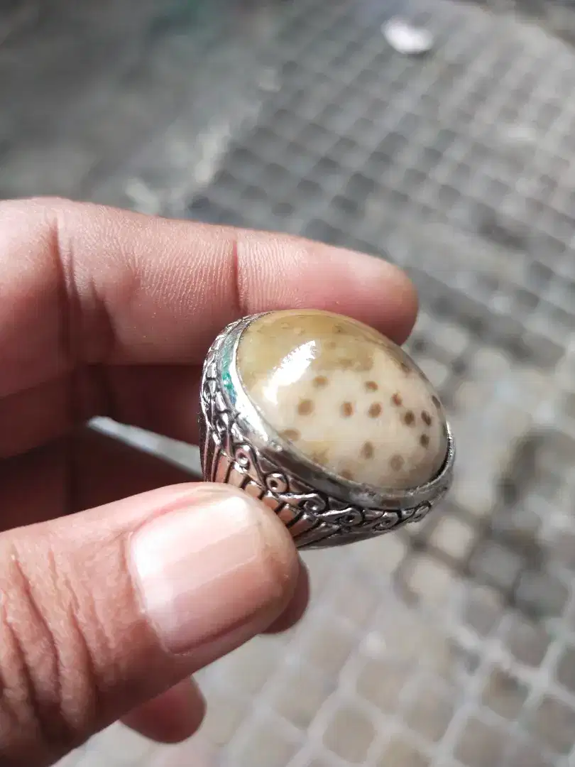 Batu Fossil motif loreng cheetah