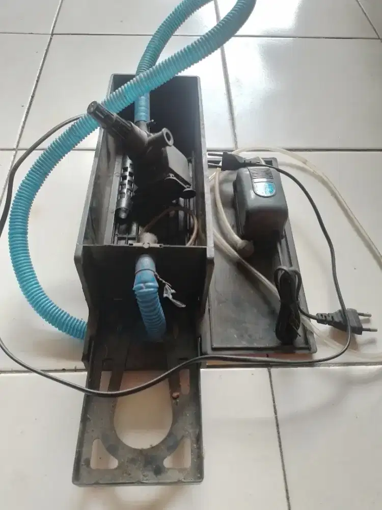 perlengkapan aquarium