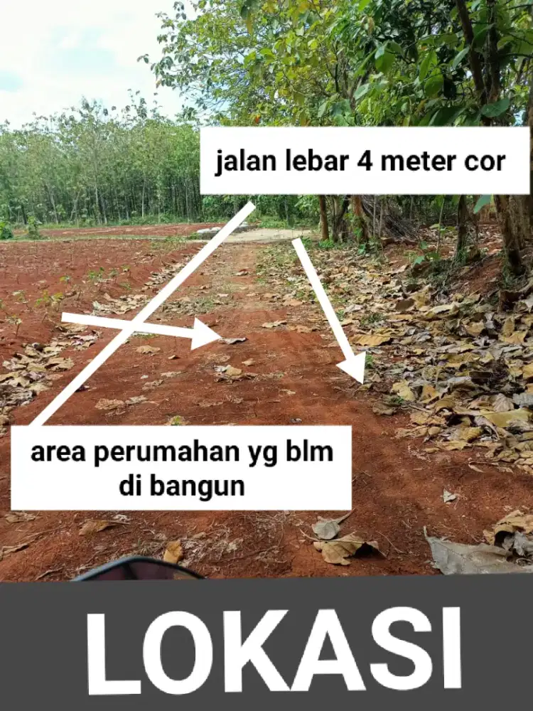 DIJUAL Cepat TANAH ALAS JATI 1260m² 255jt saja