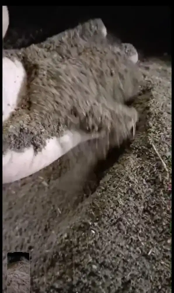 Pupuk kohe kambing selepan