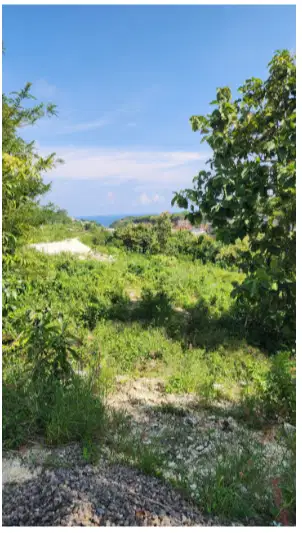 Tanah 20 Are di Ungasan