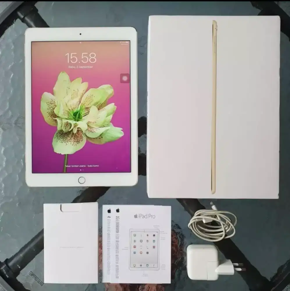 Termurah Dijual iPad Pro 9.7 inch 256GB - Warna Gold