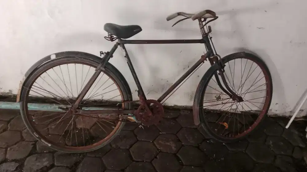 Sepeda kebo kuno jadul