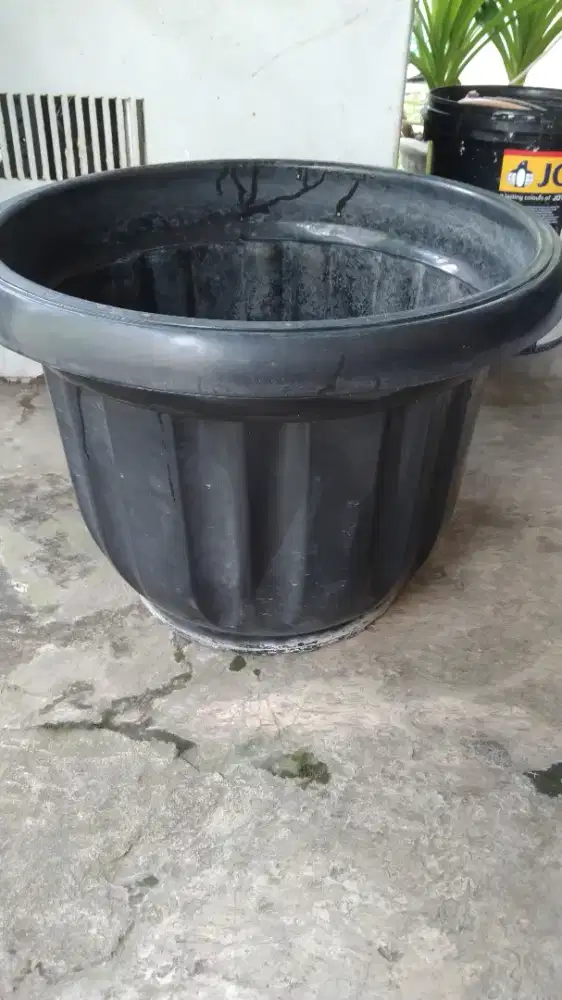 Pot Tanaman Ukuran 50 Liter Besar