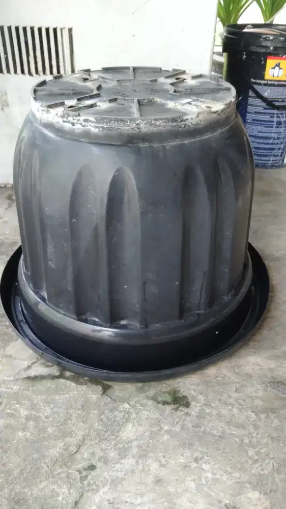 Pot Tanaman Ukuran 50 Liter Besar