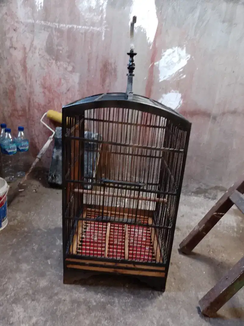 kandang replika no 3