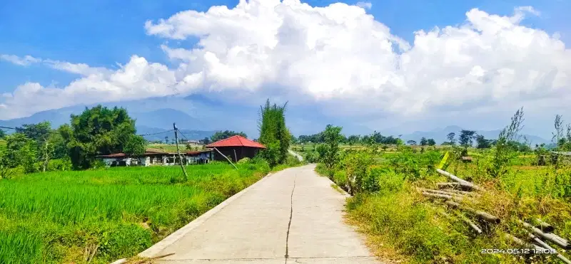 tanah pacet 1760m lebar muka 60meter lebar jln 4-5meter