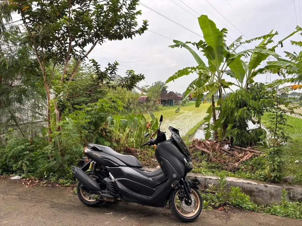 Dijual Tanah Sawah Subur - Lokasi Strategis di Sewon, Bantul