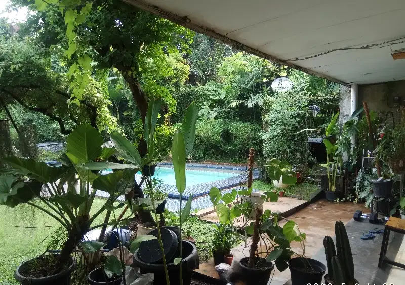 kosan  type paviliun
