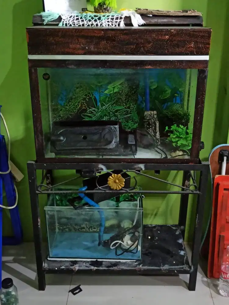 Aquarium 2 unit Beserta Meja dan aksesoris