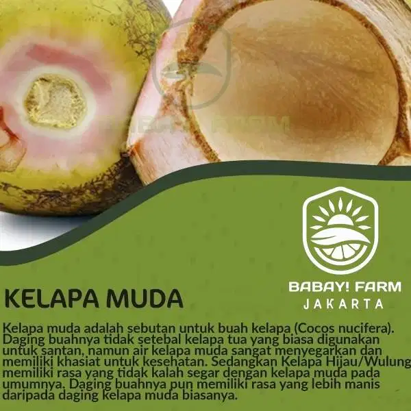 Buah kelapa muda / degan muda utuh