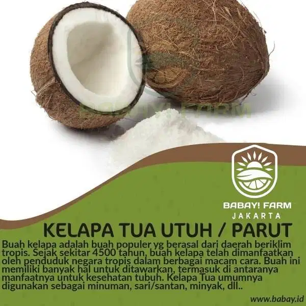 Buah Kelapa Tua Utuh / Parut Santan