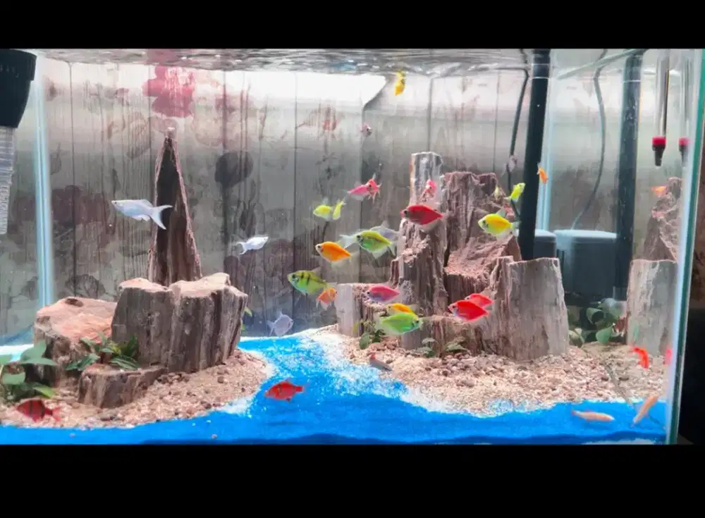 Aquascape/Aquarium 60x40 incld Meja/Lemari